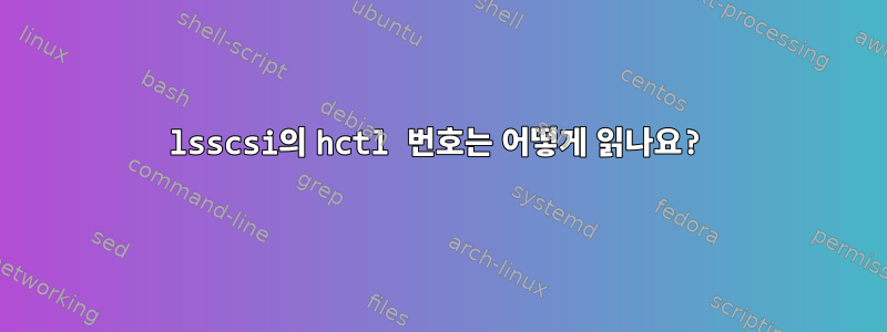 lsscsi의 hctl 번호는 어떻게 읽나요?