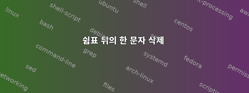 쉼표 뒤의 한 문자 삭제