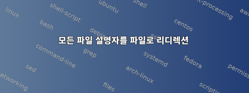 모든 파일 설명자를 파일로 리디렉션