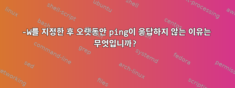 -W를 지정한 후 오랫동안 ping이 응답하지 않는 이유는 무엇입니까?