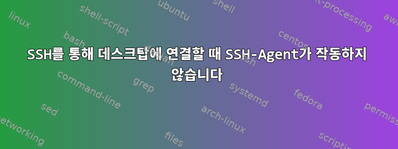 SSH를 통해 데스크탑에 연결할 때 SSH-Agent가 작동하지 않습니다