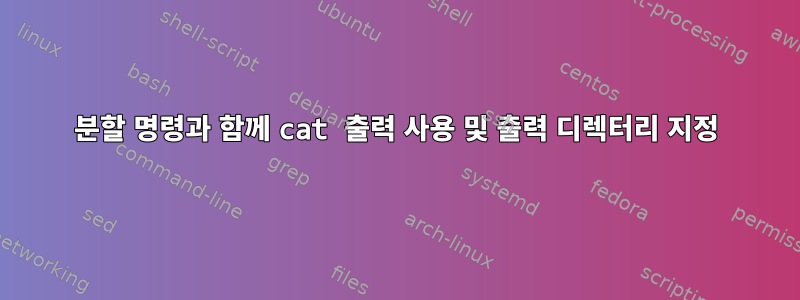 분할 명령과 함께 cat 출력 사용 및 출력 디렉터리 지정