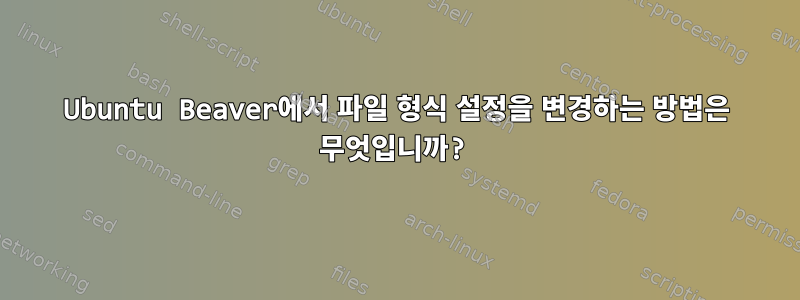 Ubuntu Beaver에서 파일 형식 설정을 변경하는 방법은 무엇입니까?