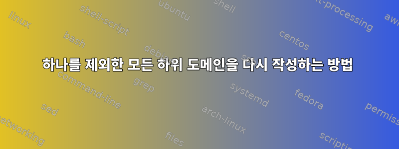 하나를 제외한 모든 하위 도메인을 다시 작성하는 방법