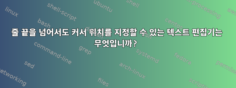 줄 끝을 넘어서도 커서 위치를 지정할 수 있는 텍스트 편집기는 무엇입니까?