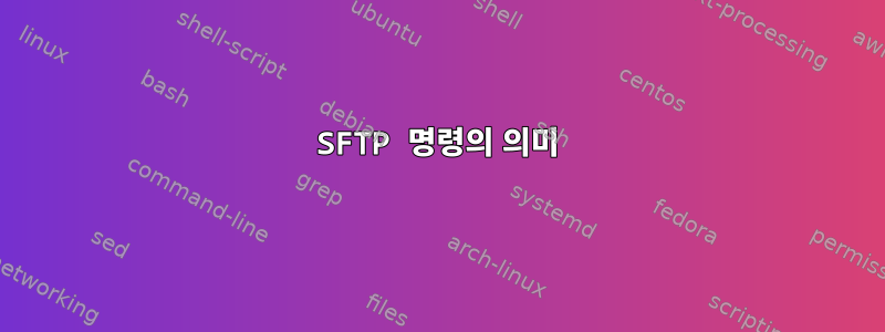 SFTP 명령의 의미