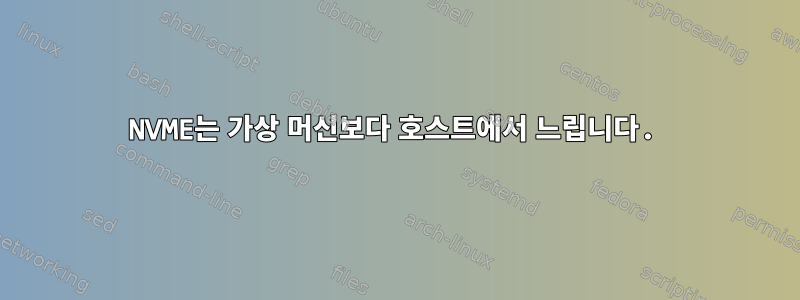 NVME는 가상 머신보다 호스트에서 느립니다.