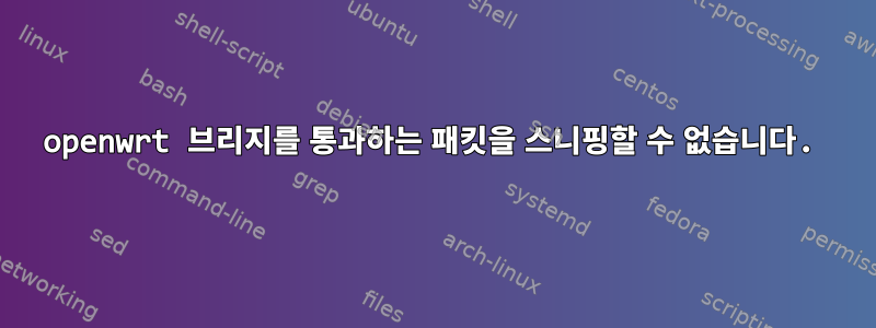 openwrt 브리지를 통과하는 패킷을 스니핑할 수 없습니다.