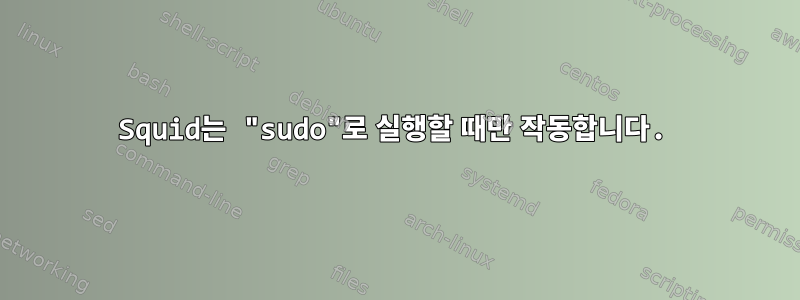 Squid는 "sudo"로 실행할 때만 작동합니다.