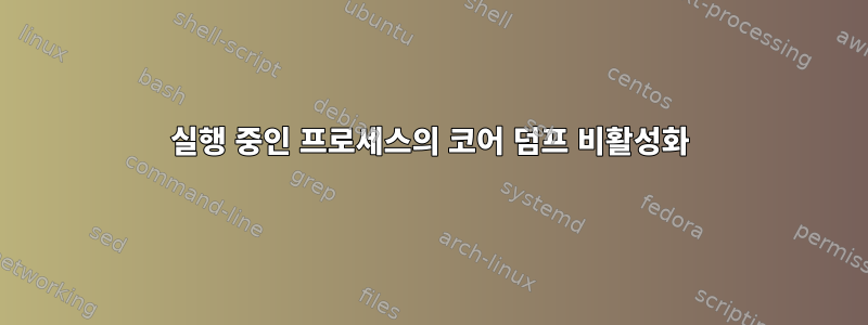 실행 중인 프로세스의 코어 덤프 비활성화