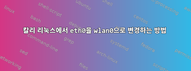 칼리 리눅스에서 eth0을 wlan0으로 변경하는 방법