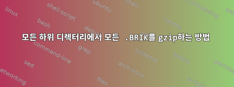 모든 하위 디렉터리에서 모든 .BRIK를 gzip하는 방법