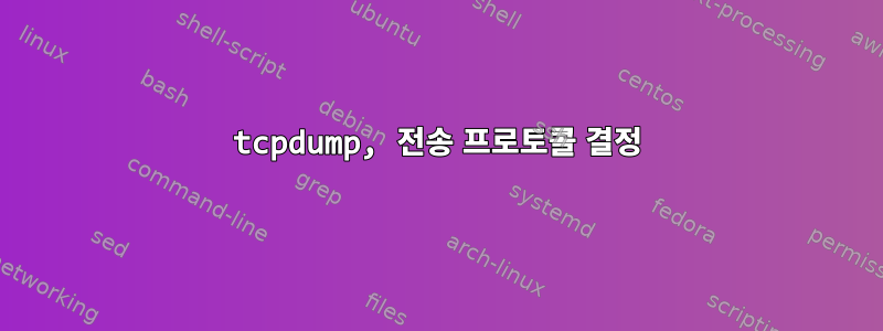 tcpdump, 전송 프로토콜 결정