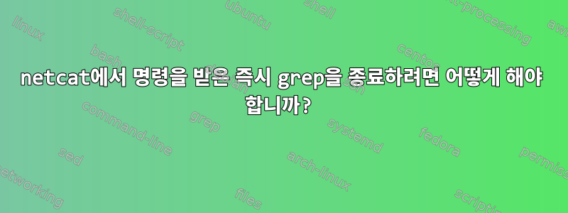 netcat에서 명령을 받은 즉시 grep을 종료하려면 어떻게 해야 합니까?