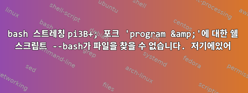 bash 스트레칭 pi3B+; 포크 'program &amp;'에 대한 쉘 스크립트 --bash가 파일을 찾을 수 없습니다. 저기에있어