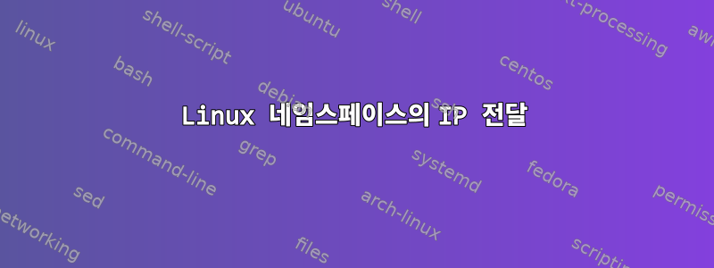 Linux 네임스페이스의 IP 전달