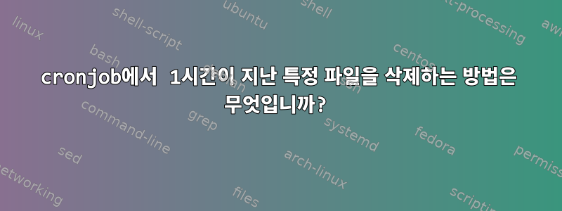 cronjob에서 1시간이 지난 특정 파일을 삭제하는 방법은 무엇입니까?