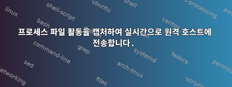 프로세스 파일 활동을 캡처하여 실시간으로 원격 호스트에 전송합니다.