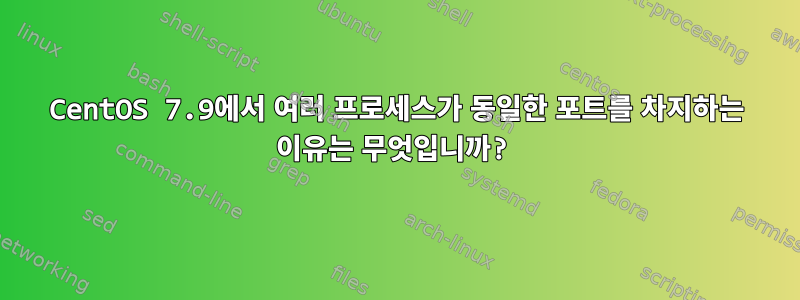 CentOS 7.9에서 여러 프로세스가 동일한 포트를 차지하는 이유는 무엇입니까?