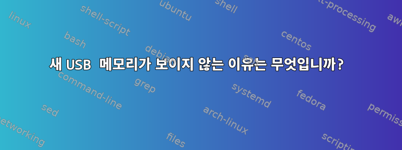 새 USB 메모리가 보이지 않는 이유는 무엇입니까?