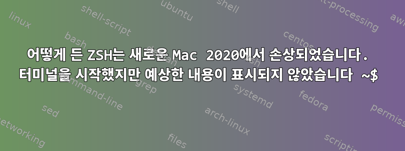 어떻게 든 ZSH는 새로운 Mac 2020에서 손상되었습니다. 터미널을 시작했지만 예상한 내용이 표시되지 않았습니다 ~$