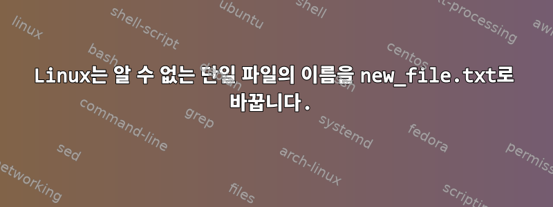 Linux는 알 수 없는 단일 파일의 이름을 new_file.txt로 바꿉니다.