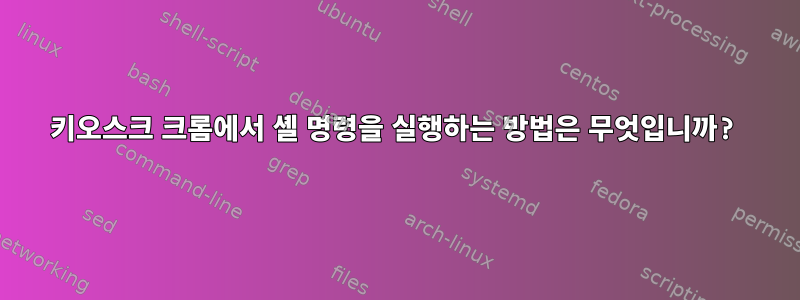 키오스크 크롬에서 셸 명령을 실행하는 방법은 무엇입니까?