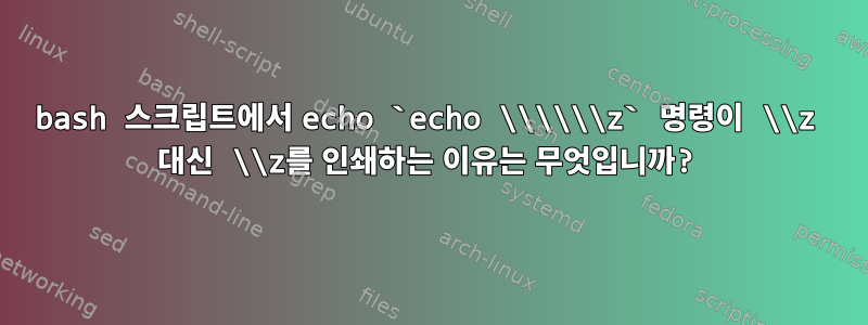 bash 스크립트에서 echo `echo \\\\\\z` 명령이 \\z 대신 \\z를 인쇄하는 이유는 무엇입니까?