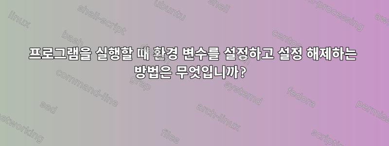 프로그램을 실행할 때 환경 변수를 설정하고 설정 해제하는 방법은 무엇입니까?