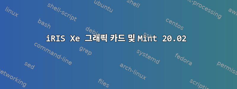 iRIS Xe 그래픽 카드 및 Mint 20.02