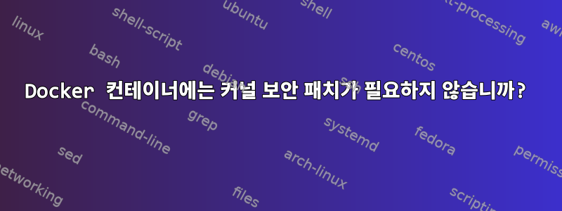 Docker 컨테이너에는 커널 보안 패치가 필요하지 않습니까?