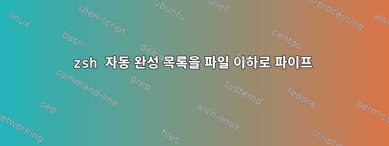 zsh 자동 완성 목록을 파일 이하로 파이프