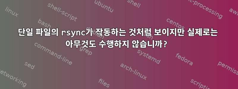 단일 파일의 rsync가 작동하는 것처럼 보이지만 실제로는 아무것도 수행하지 않습니까?