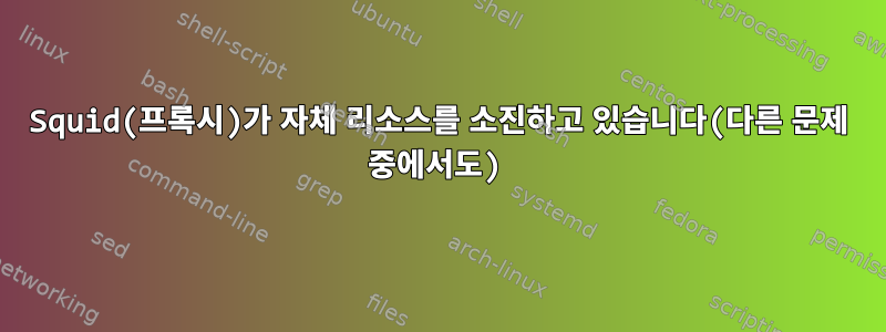 Squid(프록시)가 자체 리소스를 소진하고 있습니다(다른 문제 중에서도)