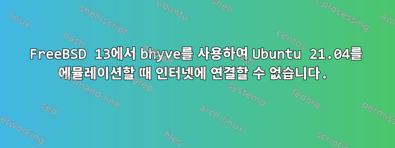 FreeBSD 13에서 bhyve를 사용하여 Ubuntu 21.04를 에뮬레이션할 때 인터넷에 연결할 수 없습니다.