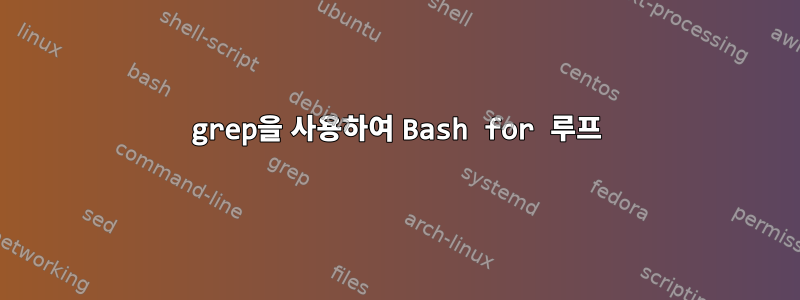 grep을 사용하여 Bash for 루프