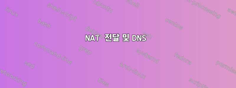 NAT 전달 및 DNS