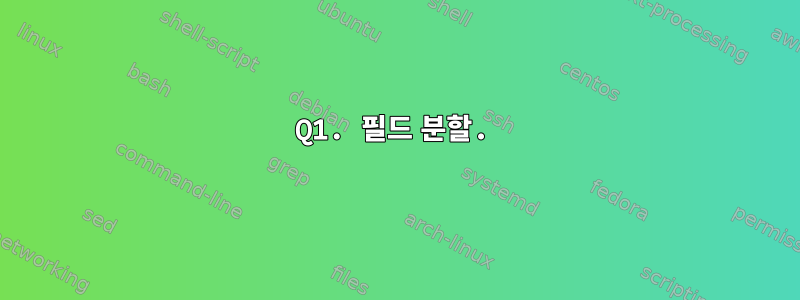 Q1. 필드 분할.