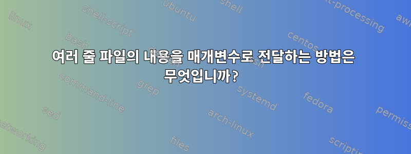 여러 줄 파일의 내용을 매개변수로 전달하는 방법은 무엇입니까?