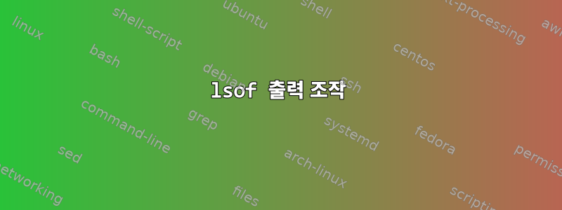 lsof 출력 조작