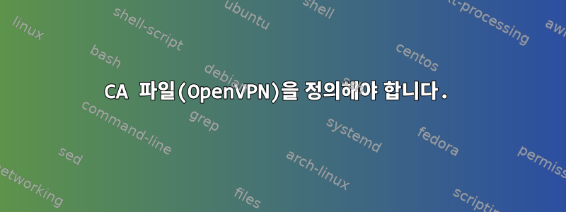 CA 파일(OpenVPN)을 정의해야 합니다.