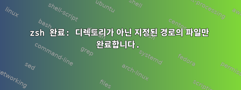 zsh 완료: 디렉토리가 아닌 지정된 경로의 파일만 완료합니다.