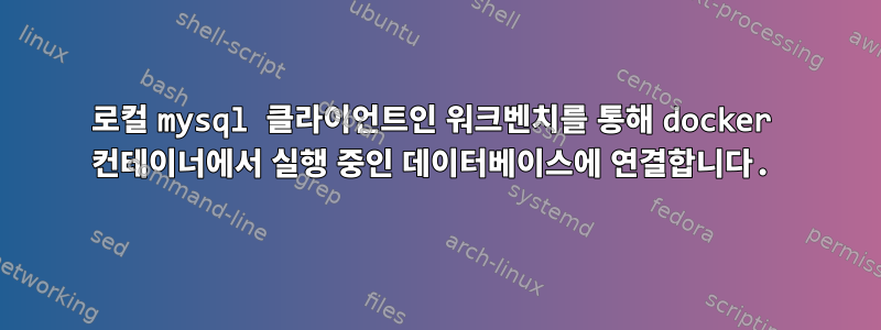 로컬 mysql 클라이언트인 워크벤치를 통해 docker 컨테이너에서 실행 중인 데이터베이스에 연결합니다.