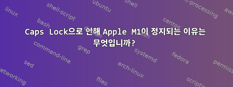 Caps Lock으로 인해 Apple M1이 정지되는 이유는 무엇입니까?