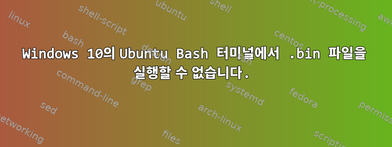 Windows 10의 Ubuntu Bash 터미널에서 .bin 파일을 실행할 수 없습니다.