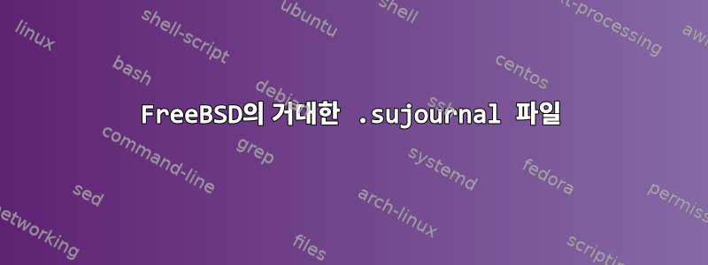 FreeBSD의 거대한 .sujournal 파일