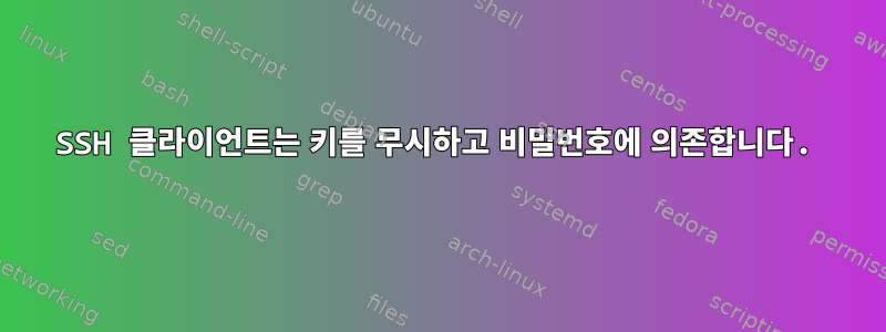 SSH 클라이언트는 키를 무시하고 비밀번호에 의존합니다.