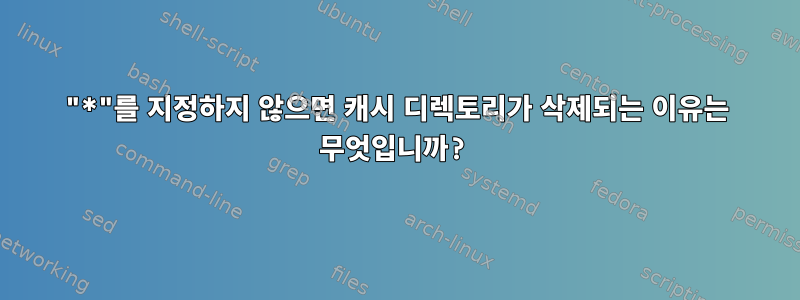 "*"를 지정하지 않으면 캐시 디렉토리가 삭제되는 이유는 무엇입니까?