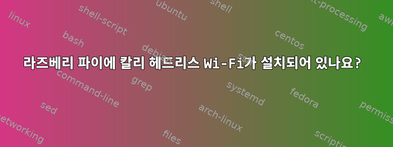 라즈베리 파이에 칼리 헤드리스 Wi-Fi가 설치되어 있나요?