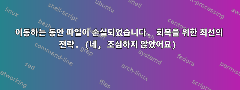 이동하는 동안 파일이 손실되었습니다. 회복을 위한 최선의 전략. (네, 조심하지 않았어요)